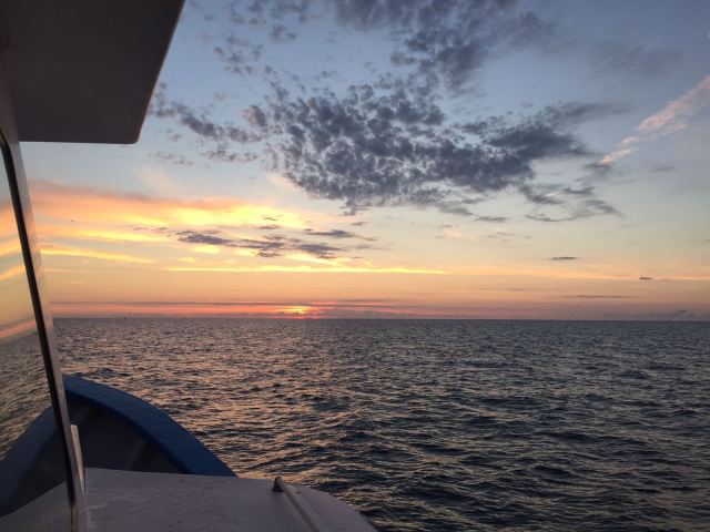 WhatsApp Image 2016-09-27 at 08.18.24.jpeg