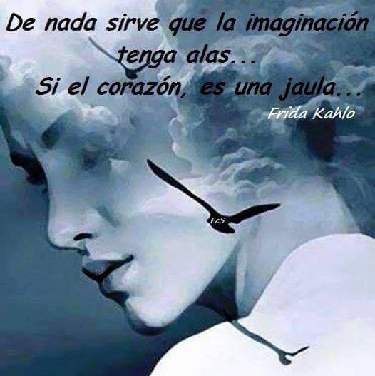 13938560_1342497189108401_2209003413578190544_n