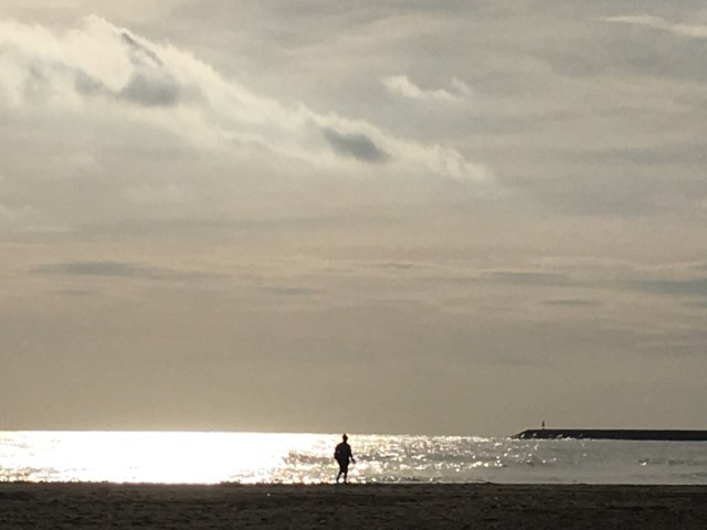 2016-11-12 15.45.37.jpg