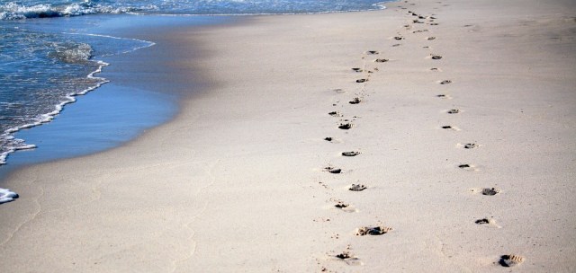 footprints-600743_960_720.jpg