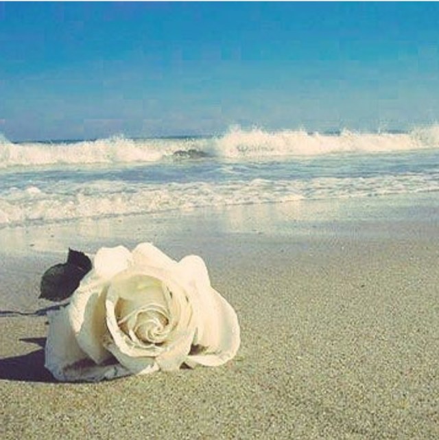 Archivo 8-12-16 0 05 27.jpeg