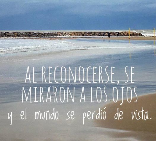 16174963_1392373207473501_7705291697618252112_n