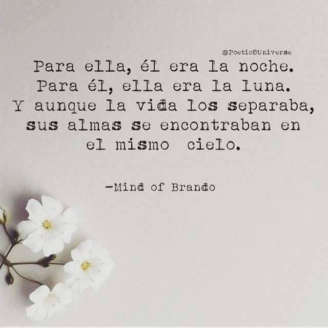 16507585_10212108807903474_934049168_n