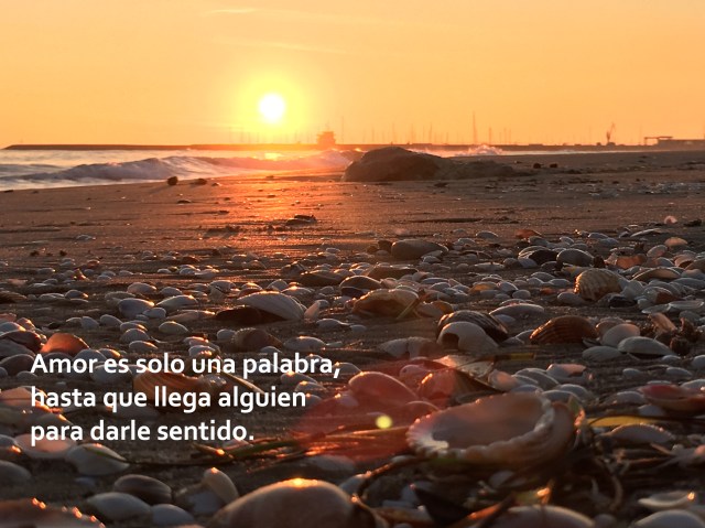 2017-01-06 17.26.46 HDR copia.jpg