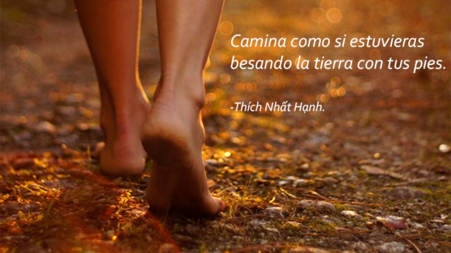 barfusstrail_buehnestandard copia.jpg