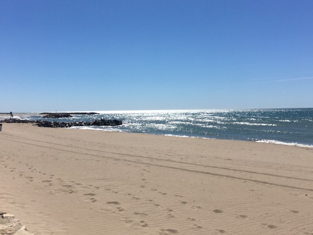 2017-05-06 11.10.03.jpg