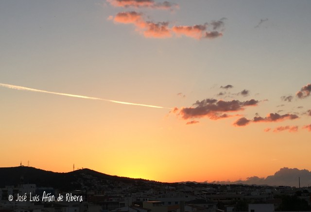 2017-05-20 06.33.13.jpg