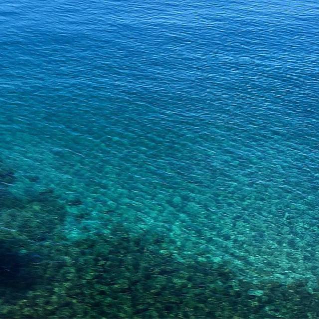 19059032_1552718274772326_3365104004392206001_n