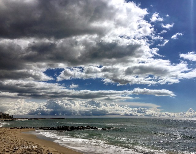 2017-04-01 12.05.16-1.jpg