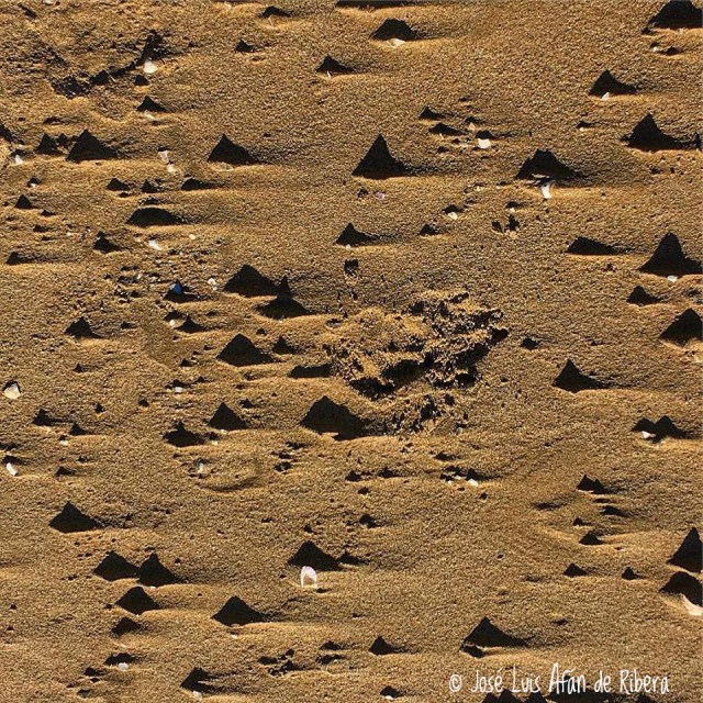 26229383_1784218978288920_7232669899095016008_n copia.jpg