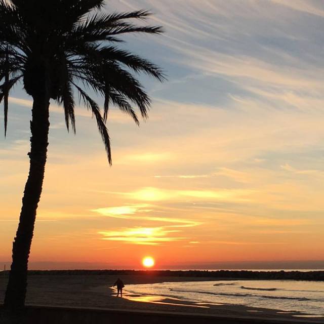 15672764_1368008276576661_3220145776868112590_n