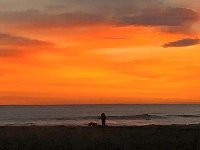 26165283_1778056098905208_3087178503607252570_n