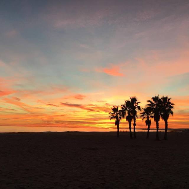 15747559_1367458889964933_2974252608136830153_n