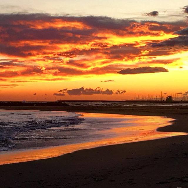 51499489_2332577373453075_6877249875151421440_n