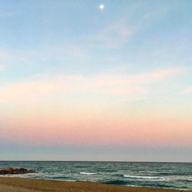 18275189_1510457025665118_6094960294755610985_n