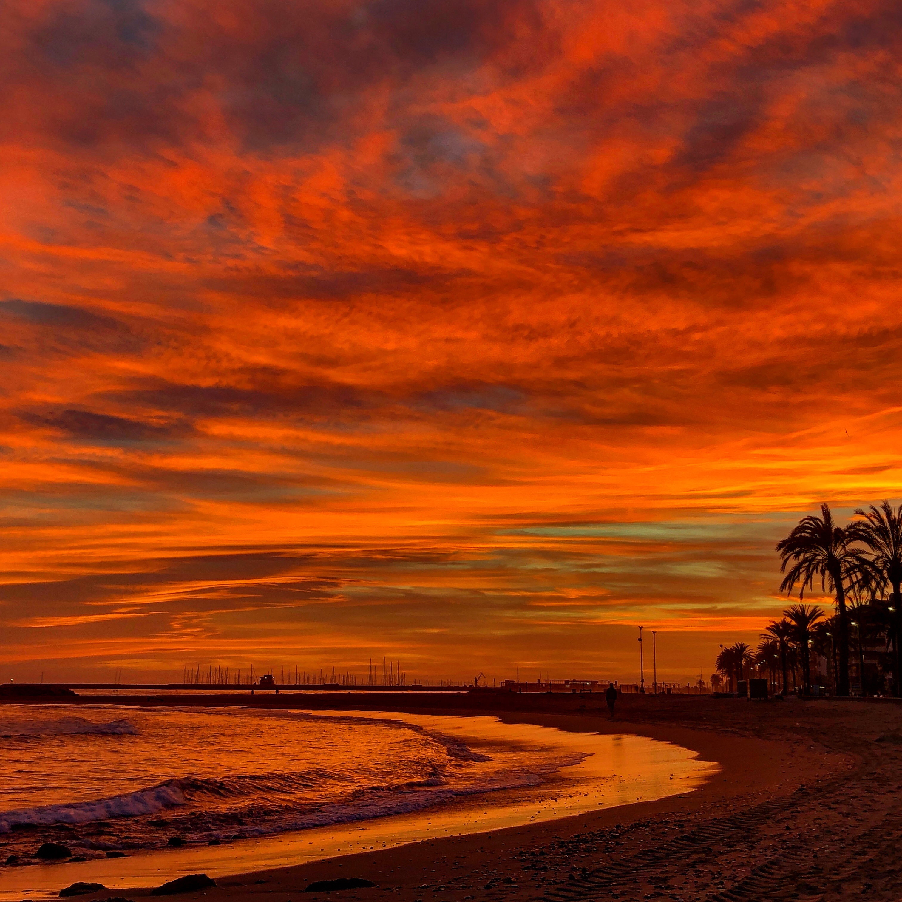 Copyright 2020 José Luis Afán de Ribera